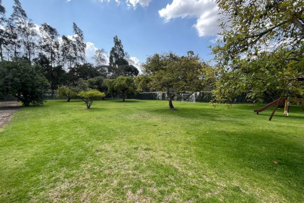 004351c8-c2b0-424e-9199-c684b0d9896d