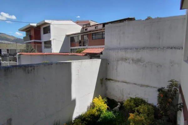 1096294501-3