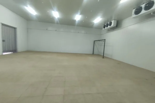 1124011638