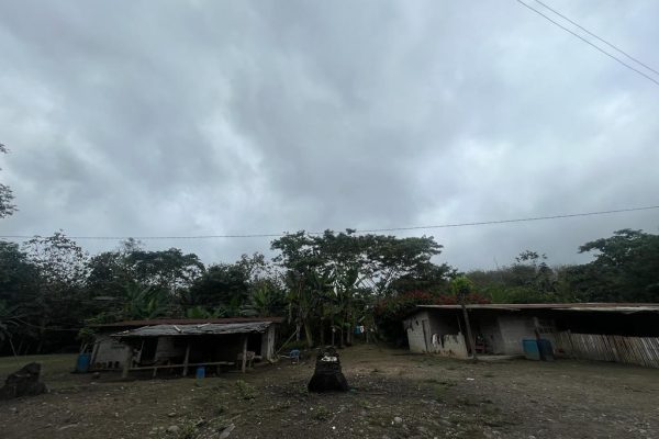 1126971869