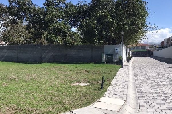 119ca5a6-af37-4562-881c-28c8ea6b1356