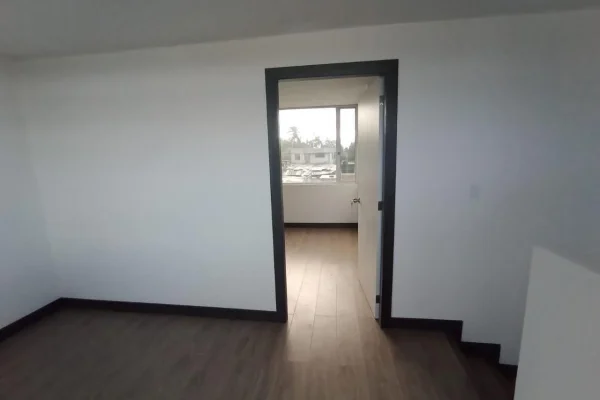 264389115