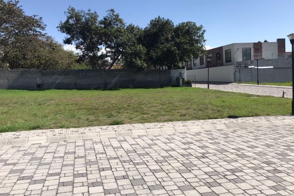 34149850-2b46-4fb9-a6ff-e37155f6e82e