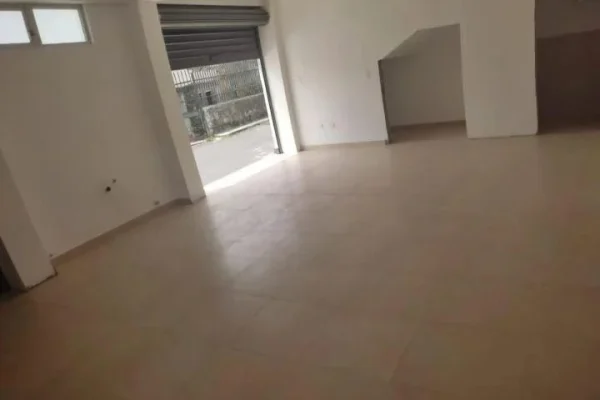 364883651