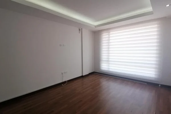368020393