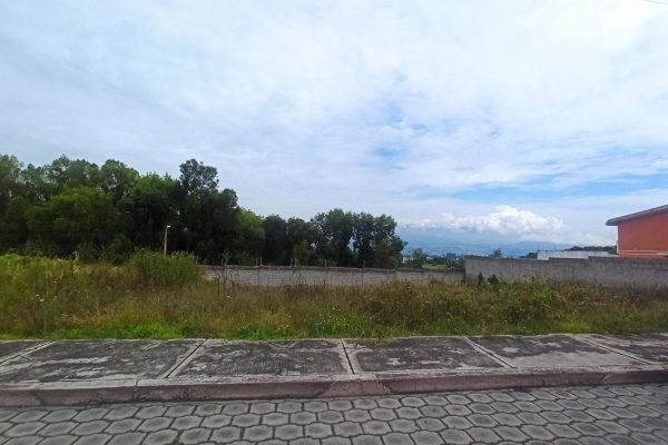 372281744