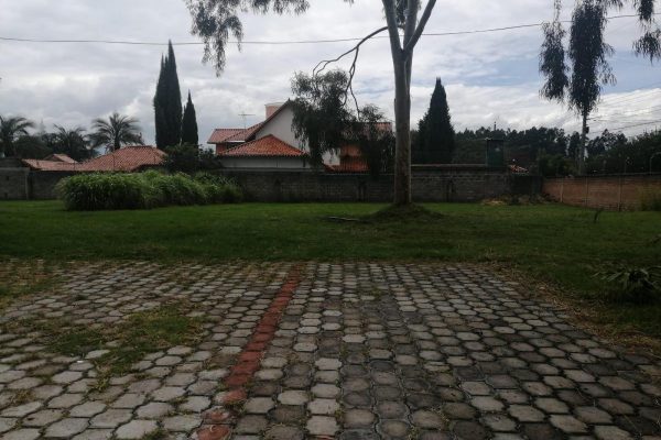 372282080
