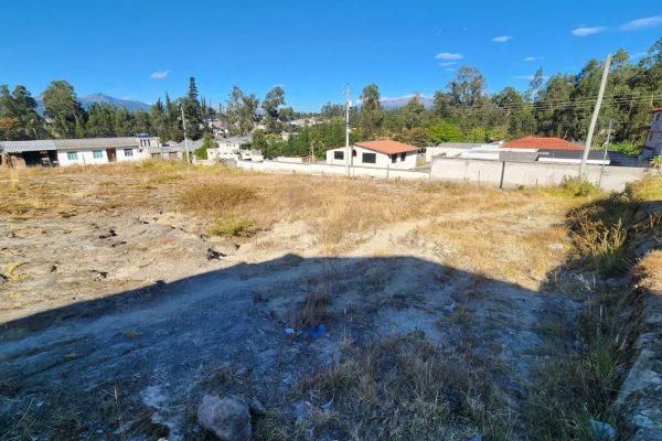 476634af-9e2c-4295-971d-10b613575929