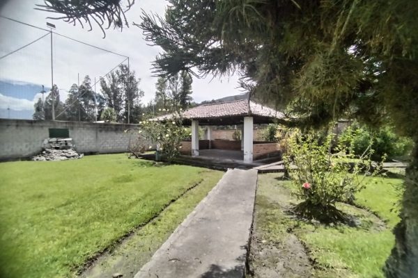 49fc58df-36e5-43eb-821e-8cc271b05d41