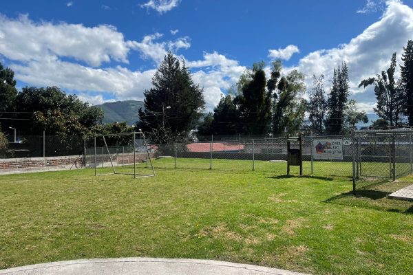 4e1d703a-8dbc-423b-a35f-6053f1f9a8ca