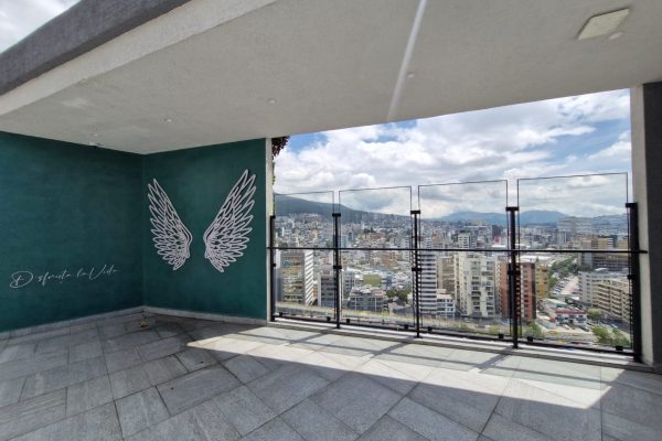 558fb5dd-f15b-41d2-b363-2c39d3e35b6d