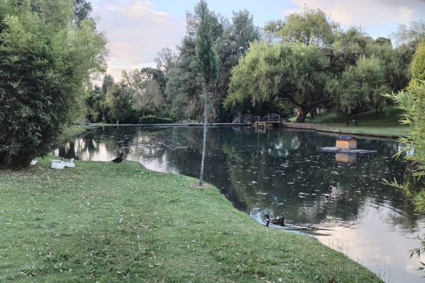 55aea491-6dcb-44a5-9b30-225227e2ce82