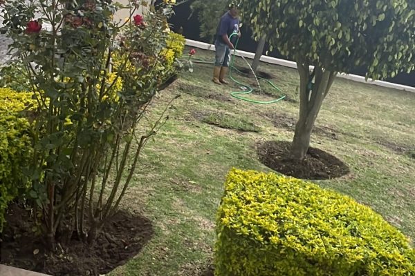 73CC65DE-8493-4DB2-AA63-AFD210507698