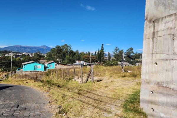 909a6669-4ba2-4be0-bf5a-565d5d582257