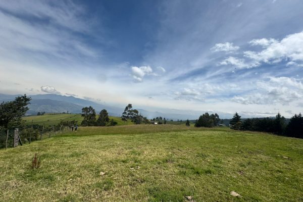 IMG-20250505-WA0008