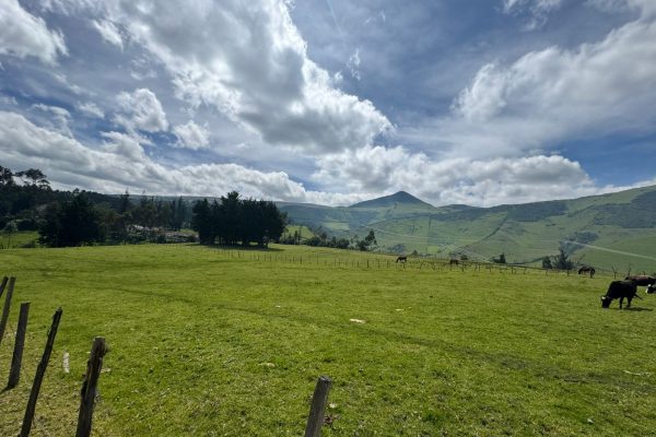 IMG-20250505-WA0010