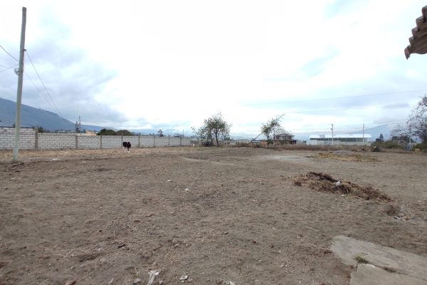 IMG_20250906_092328-1