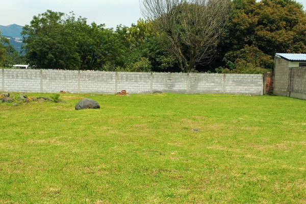 IMG_20251204_105841_373