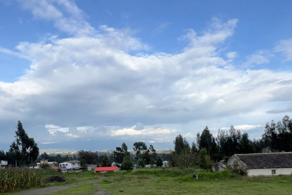 IMG_4453