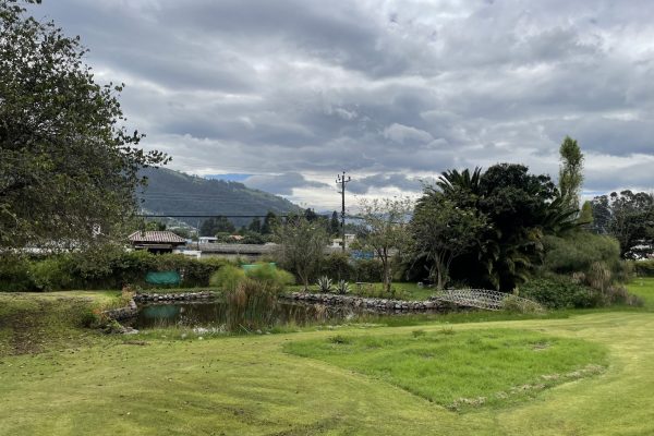 IMG_4812