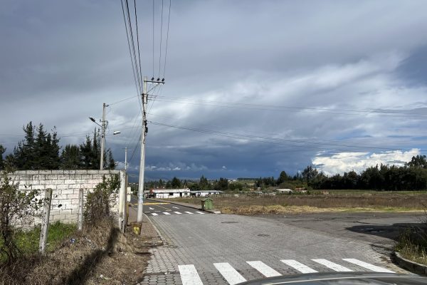 IMG_5664