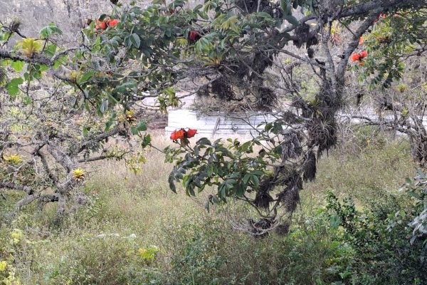 LOTIZACION-SANDRO-NOBOA-IBARRA10