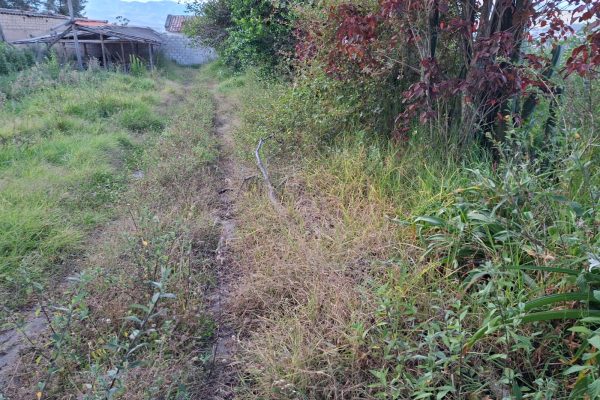 LOTIZACION-SANDRO-NOBOA-IBARRA2