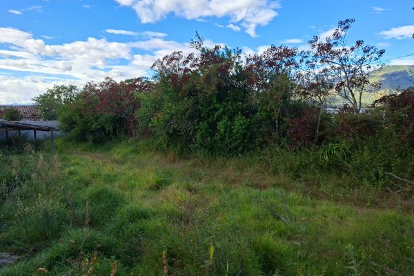 LOTIZACION-SANDRO-NOBOA-IBARRA3