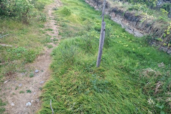 LOTIZACION-SANDRO-NOBOA-IBARRA8