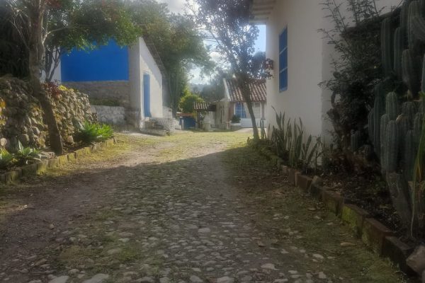 PROPIEDAD-JOSE-NOBOA-IBARRA15