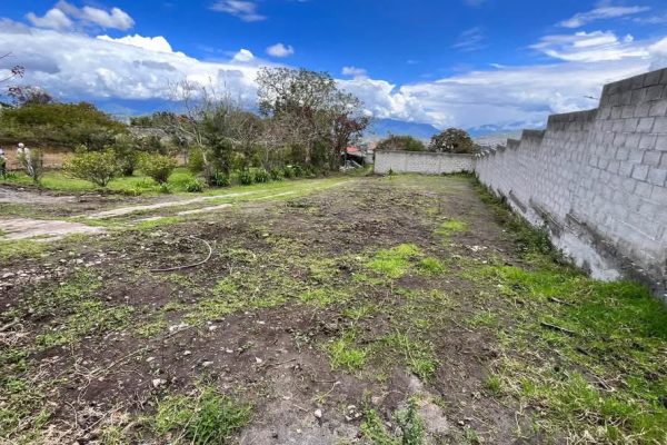 TERRENO-INES-NOBOA-IBARRA2