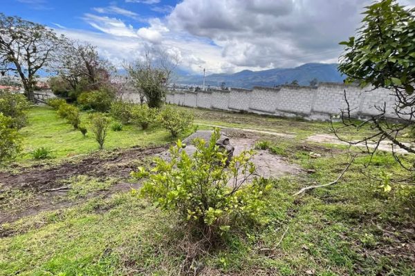 TERRENO-INES-NOBOA-IBARRA3