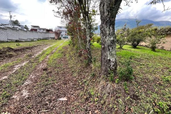 TERRENO-INES-NOBOA-IBARRA4