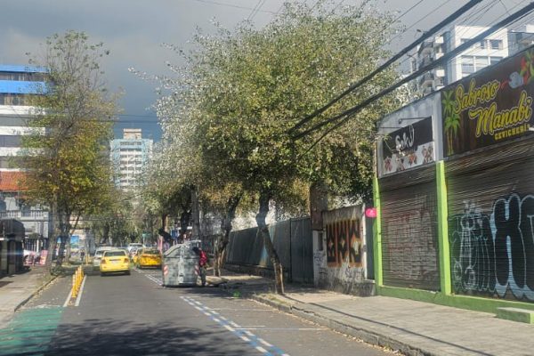 TERRENO-LA-MARISCAL3