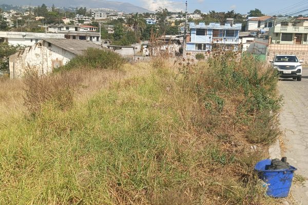 TERRENO-LLANO-GRANDE-SR-FLORES12