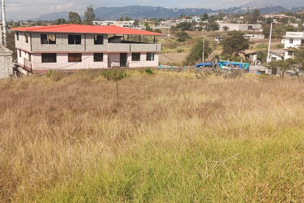 TERRENO-LLANO-GRANDE-SR-FLORES14