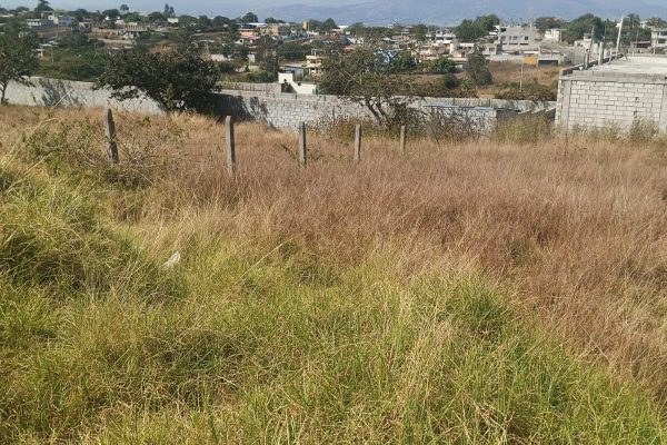 TERRENO-LLANO-GRANDE-SR-FLORES17