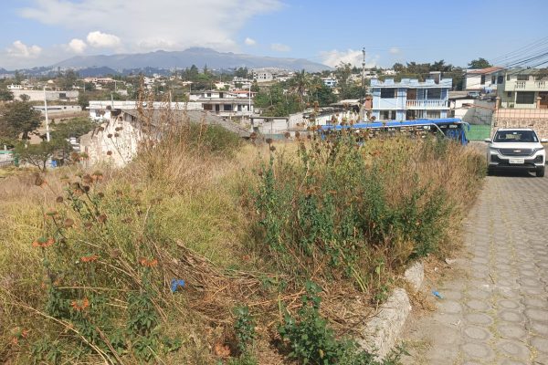TERRENO-LLANO-GRANDE-SR-FLORES18