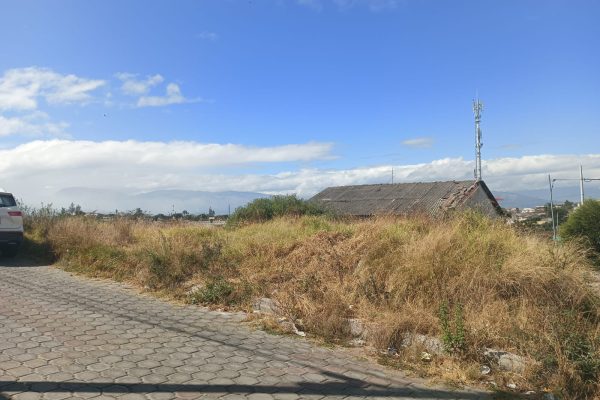 TERRENO-LLANO-GRANDE-SR-FLORES2