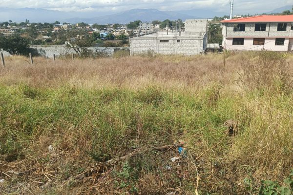 TERRENO-LLANO-GRANDE-SR-FLORES20-1