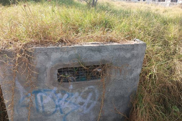 TERRENO-LLANO-GRANDE-SR-FLORES3