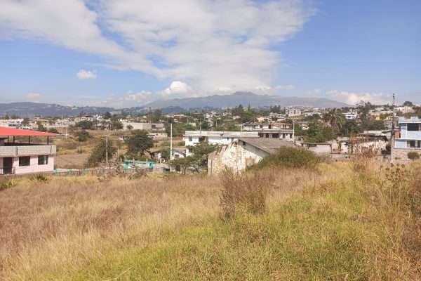 TERRENO-LLANO-GRANDE-SR-FLORES9