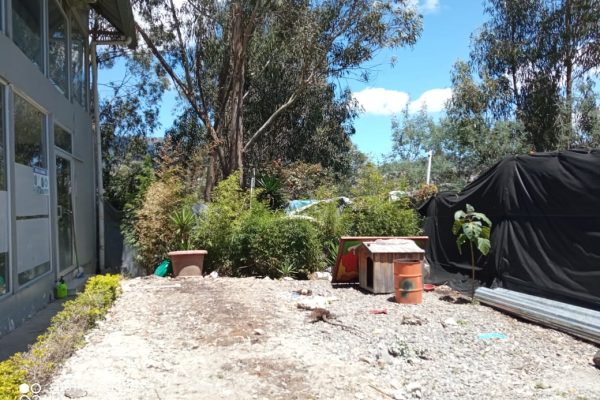 WhatsApp-Image-2024-11-19-at-11.11.20-AM-3