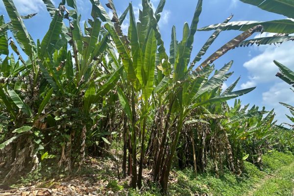 WhatsApp-Image-2025-09-12-at-10.36.21-PM-2