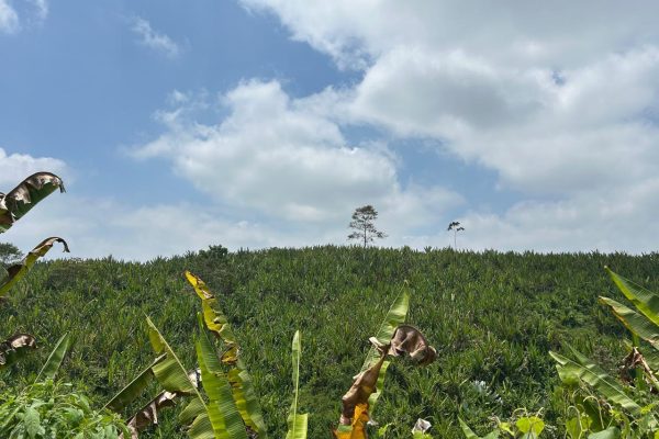 WhatsApp-Image-2025-09-12-at-10.36.21-PM