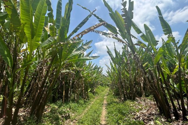 WhatsApp-Image-2025-09-12-at-10.36.22-PM-1