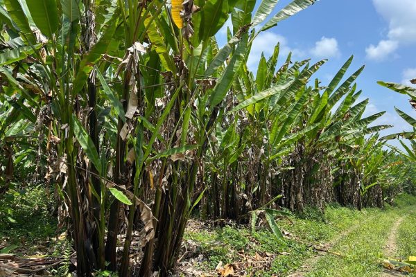 WhatsApp-Image-2025-09-12-at-10.36.22-PM-2