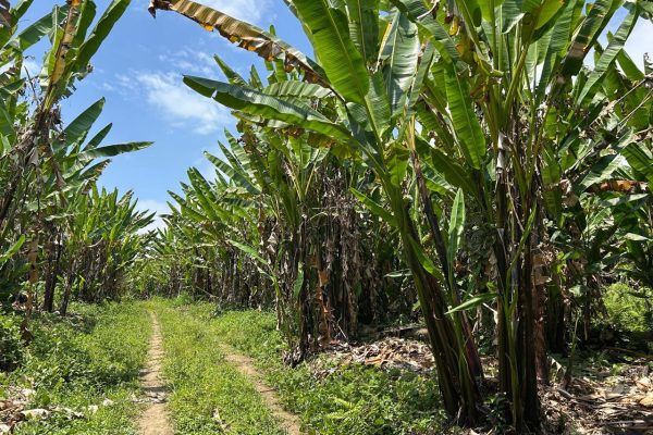 WhatsApp-Image-2025-09-12-at-10.36.22-PM-3