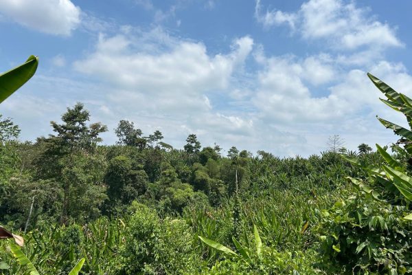 WhatsApp-Image-2025-09-12-at-10.36.23-PM-1