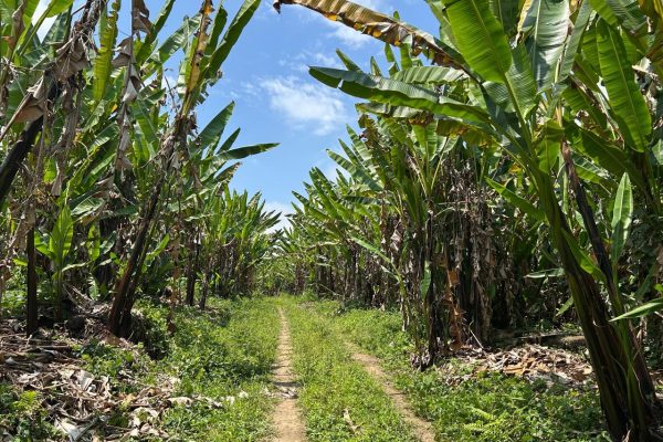 WhatsApp-Image-2025-09-12-at-10.36.23-PM